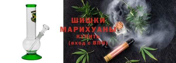 дживик Ельня