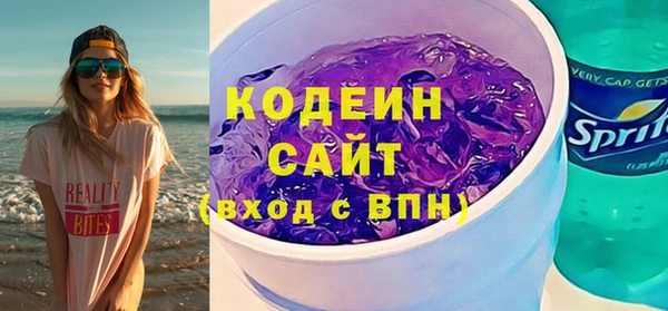 дживик Ельня