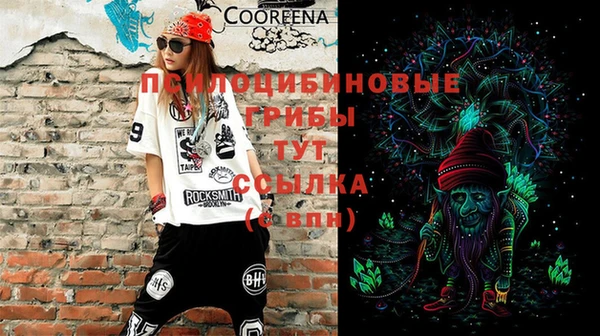 дживик Ельня