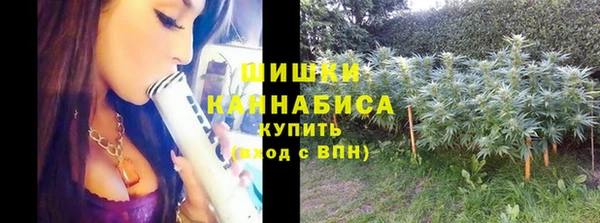 дживик Ельня