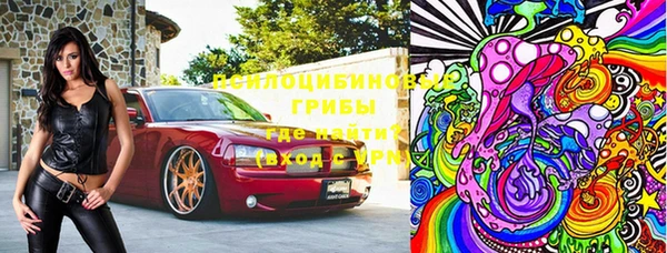 дживик Ельня