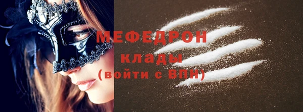 дживик Ельня