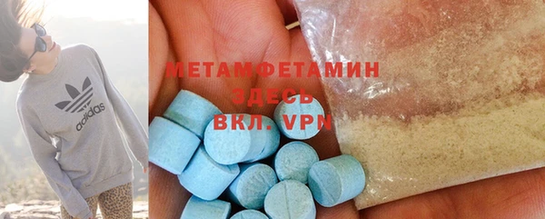 дживик Ельня