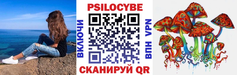Галлюциногенные грибы Cubensis Каменск-Шахтинский